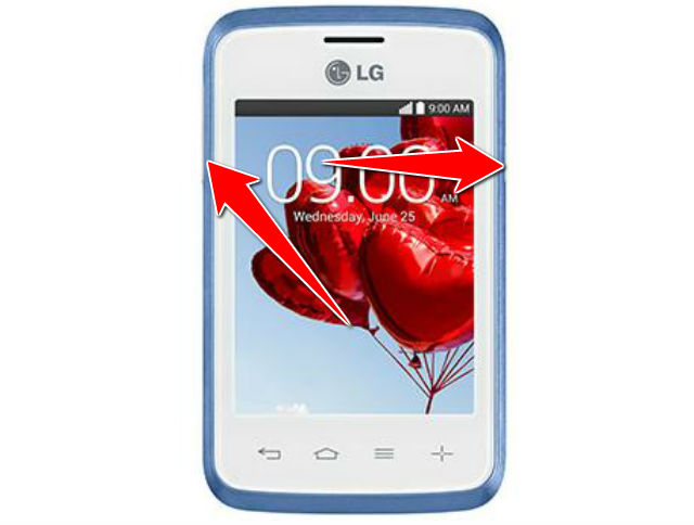 How to put your LG L20 into Recovery Mode