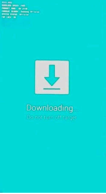 How to put Samsung Galaxy S9 in Download Mode